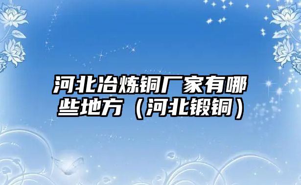 河北冶煉銅廠家有哪些地方（河北鍛銅）