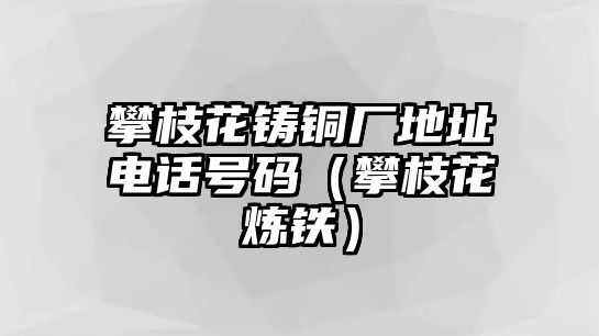 攀枝花鑄銅廠地址電話號(hào)碼（攀枝花煉鐵）