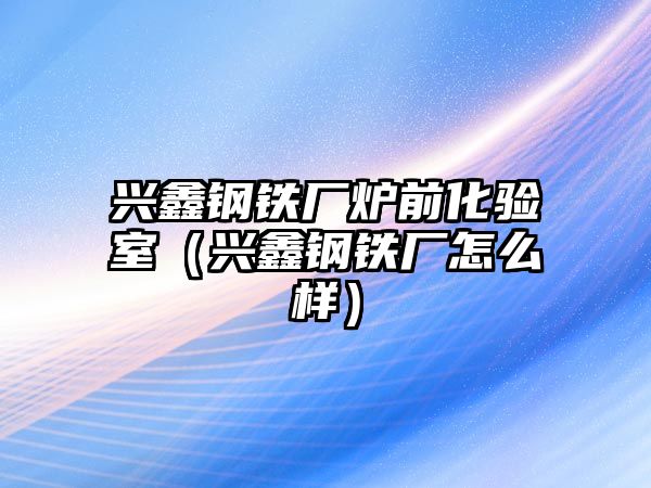 興鑫鋼鐵廠爐前化驗室（興鑫鋼鐵廠怎么樣）