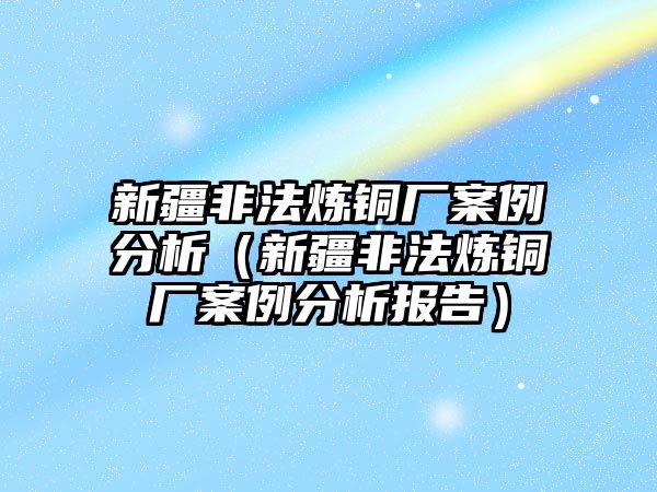 新疆非法煉銅廠案例分析（新疆非法煉銅廠案例分析報告）