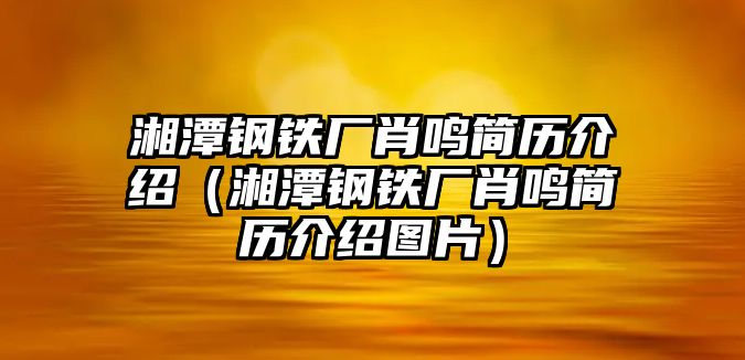 湘潭鋼鐵廠肖鳴簡歷介紹（湘潭鋼鐵廠肖鳴簡歷介紹圖片）