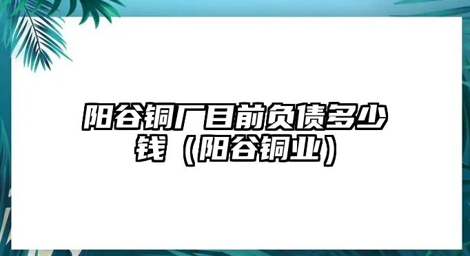 陽谷銅廠目前負(fù)債多少錢（陽谷銅業(yè)）