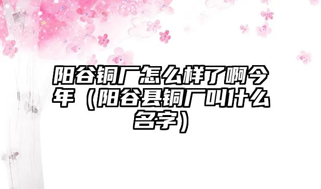 陽(yáng)谷銅廠怎么樣了啊今年（陽(yáng)谷縣銅廠叫什么名字）