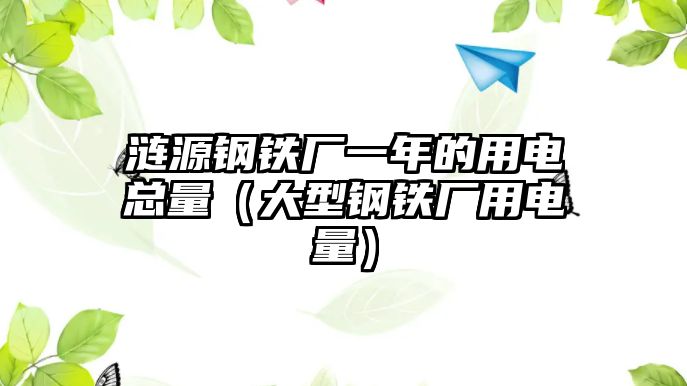 漣源鋼鐵廠一年的用電總量（大型鋼鐵廠用電量）