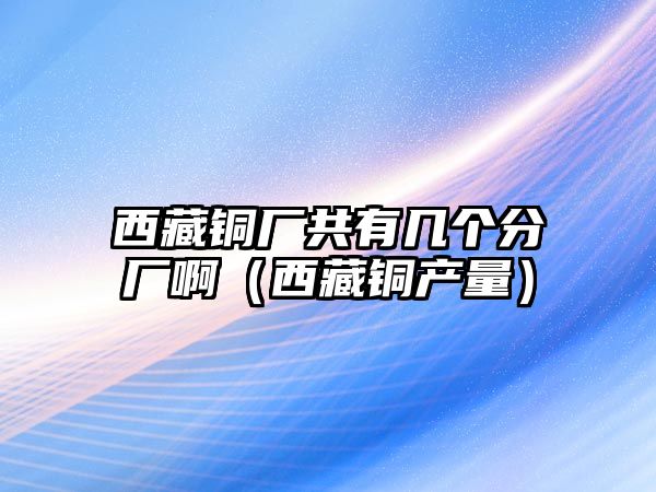 西藏銅廠共有幾個(gè)分廠?。ㄎ鞑劂~產(chǎn)量）