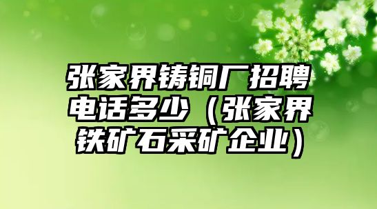 張家界鑄銅廠招聘電話多少（張家界鐵礦石采礦企業(yè)）