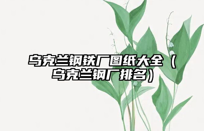 烏克蘭鋼鐵廠圖紙大全（烏克蘭鋼廠排名）