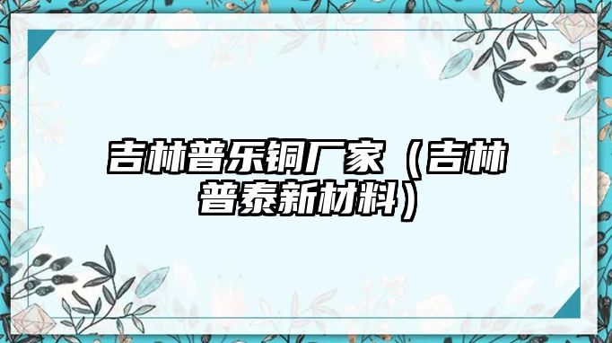 吉林普樂銅廠家（吉林普泰新材料）