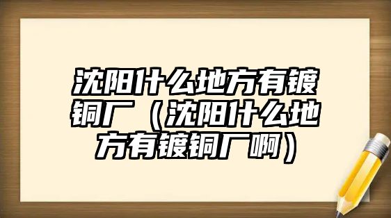 沈陽什么地方有鍍銅廠（沈陽什么地方有鍍銅廠?。? class=