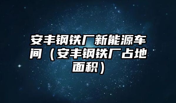 安豐鋼鐵廠新能源車間（安豐鋼鐵廠占地面積）