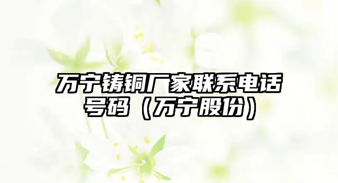 萬寧鑄銅廠家聯(lián)系電話號碼（萬寧股份）