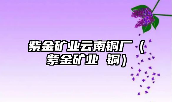 紫金礦業(yè)云南銅廠（紫金礦業(yè) 銅）