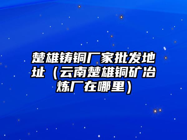 楚雄鑄銅廠家批發(fā)地址（云南楚雄銅礦冶煉廠在哪里）