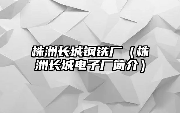 株洲長城鋼鐵廠（株洲長城電子廠簡介）