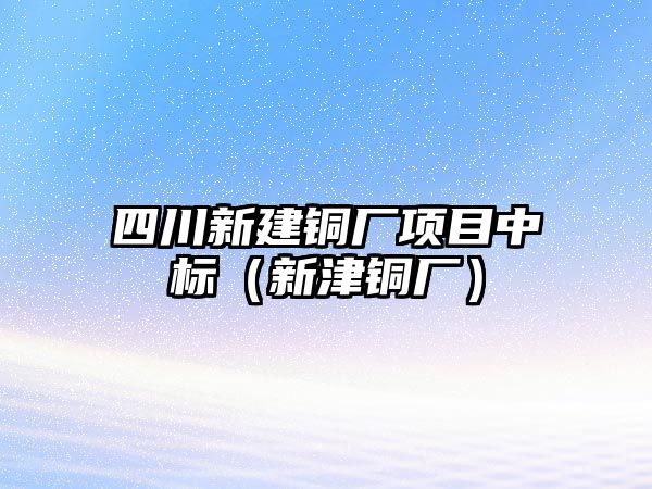 四川新建銅廠項目中標(biāo)（新津銅廠）