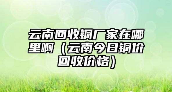 云南回收銅廠家在哪里?。ㄔ颇辖袢浙~價回收價格）