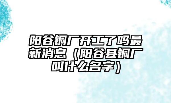 陽谷銅廠開工了嗎最新消息（陽谷縣銅廠叫什么名字）