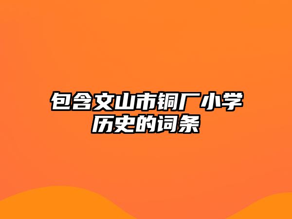 包含文山市銅廠小學(xué)歷史的詞條