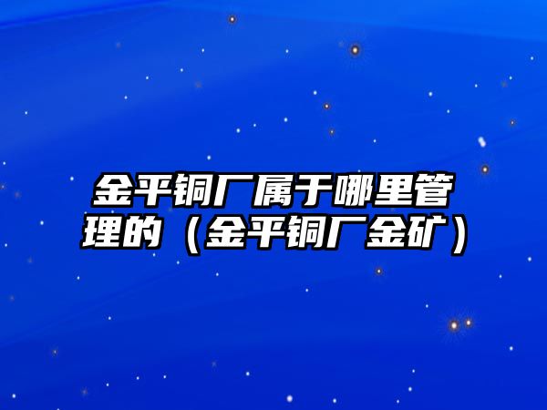 金平銅廠屬于哪里管理的（金平銅廠金礦）