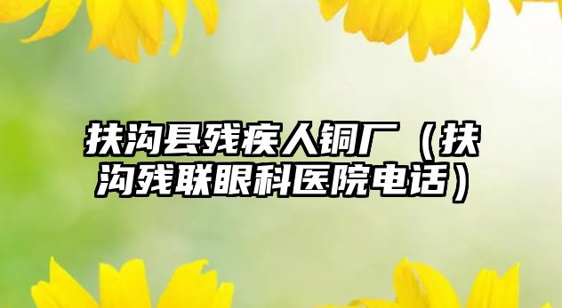 扶溝縣殘疾人銅廠（扶溝殘聯(lián)眼科醫(yī)院電話）