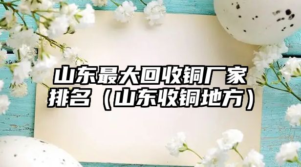 山東最大回收銅廠家排名（山東收銅地方）