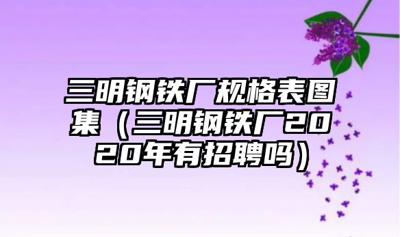 三明鋼鐵廠規(guī)格表圖集（三明鋼鐵廠2020年有招聘嗎）