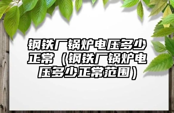 鋼鐵廠鍋爐電壓多少正常（鋼鐵廠鍋爐電壓多少正常范圍）