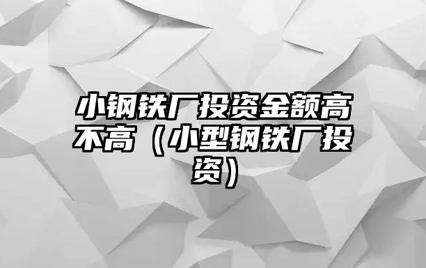 小鋼鐵廠投資金額高不高（小型鋼鐵廠投資）