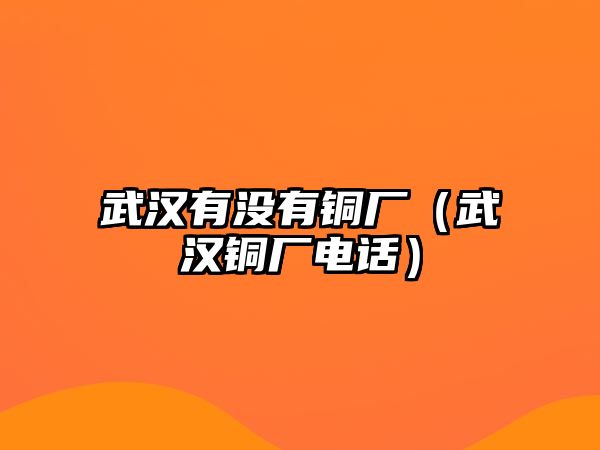 武漢有沒有銅廠（武漢銅廠電話）