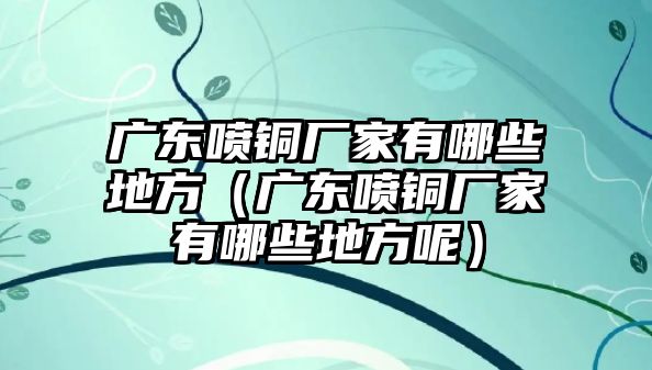 廣東噴銅廠家有哪些地方（廣東噴銅廠家有哪些地方呢）