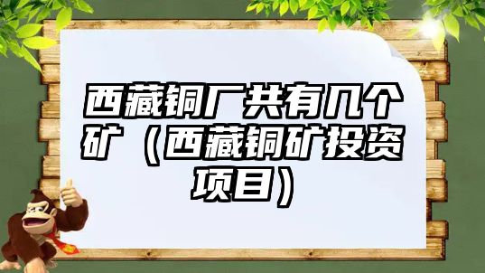 西藏銅廠共有幾個礦（西藏銅礦投資項目）