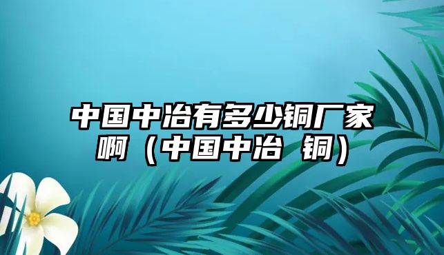 中國中冶有多少銅廠家?。ㄖ袊幸?銅）