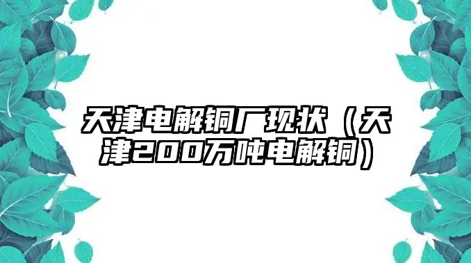 天津電解銅廠現(xiàn)狀（天津200萬(wàn)噸電解銅）