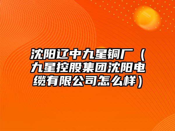 沈陽遼中九星銅廠（九星控股集團(tuán)沈陽電纜有限公司怎么樣）