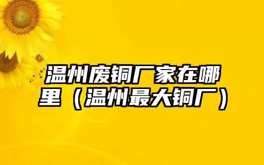 溫州廢銅廠家在哪里（溫州最大銅廠）