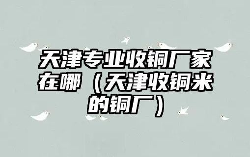 天津?qū)I(yè)收銅廠家在哪（天津收銅米的銅廠）