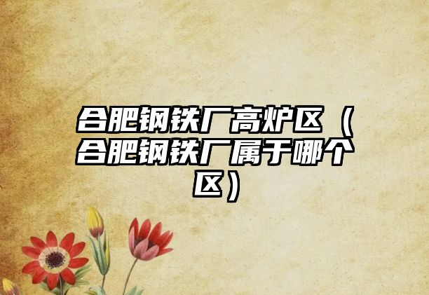 合肥鋼鐵廠高爐區(qū)（合肥鋼鐵廠屬于哪個區(qū)）