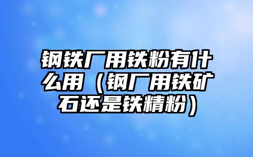 鋼鐵廠用鐵粉有什么用（鋼廠用鐵礦石還是鐵精粉）