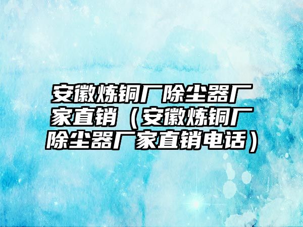 安徽煉銅廠除塵器廠家直銷（安徽煉銅廠除塵器廠家直銷電話）