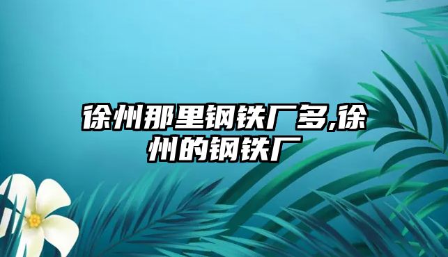 徐州那里鋼鐵廠多,徐州的鋼鐵廠