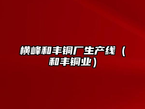 橫峰和豐銅廠生產線（和豐銅業(yè)）