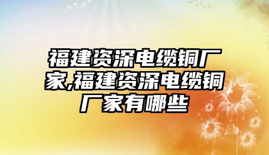 福建資深電纜銅廠家,福建資深電纜銅廠家有哪些