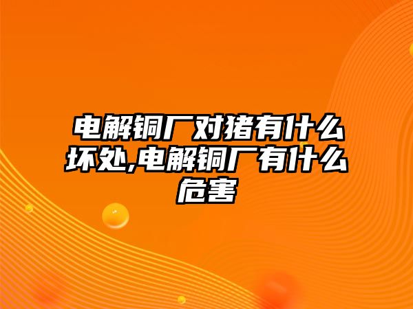 電解銅廠對豬有什么壞處,電解銅廠有什么危害