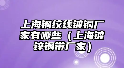 上海鋼絞線鍍銅廠家有哪些（上海鍍鋅鋼帶廠家）