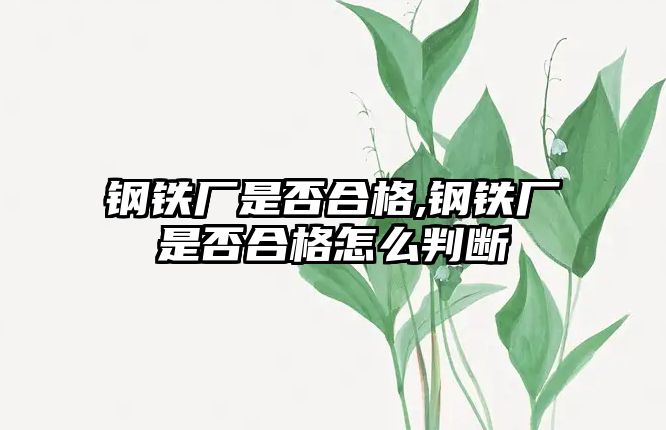 鋼鐵廠是否合格,鋼鐵廠是否合格怎么判斷