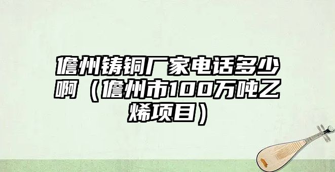 儋州鑄銅廠家電話多少啊（儋州市100萬噸乙烯項目）