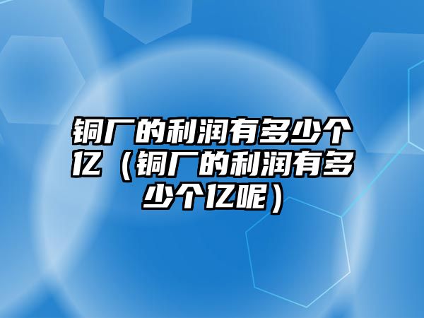 銅廠的利潤有多少個億（銅廠的利潤有多少個億呢）