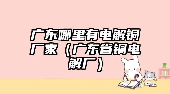 廣東哪里有電解銅廠家（廣東省銅電解廠）