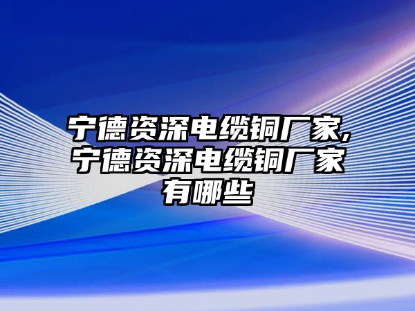 寧德資深電纜銅廠家,寧德資深電纜銅廠家有哪些