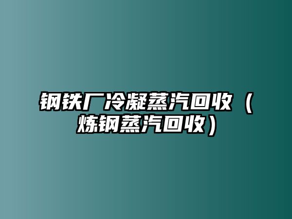 鋼鐵廠冷凝蒸汽回收（煉鋼蒸汽回收）